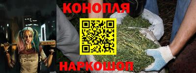 прущие грибы Ликино-Дулёво