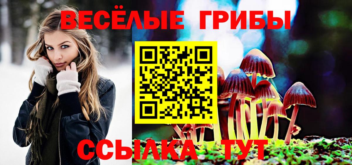 Галлюциногенные грибы GOLDEN TEACHER  Галлюциногенные грибы Psilocybe  Ижевск  Вход с VPN 